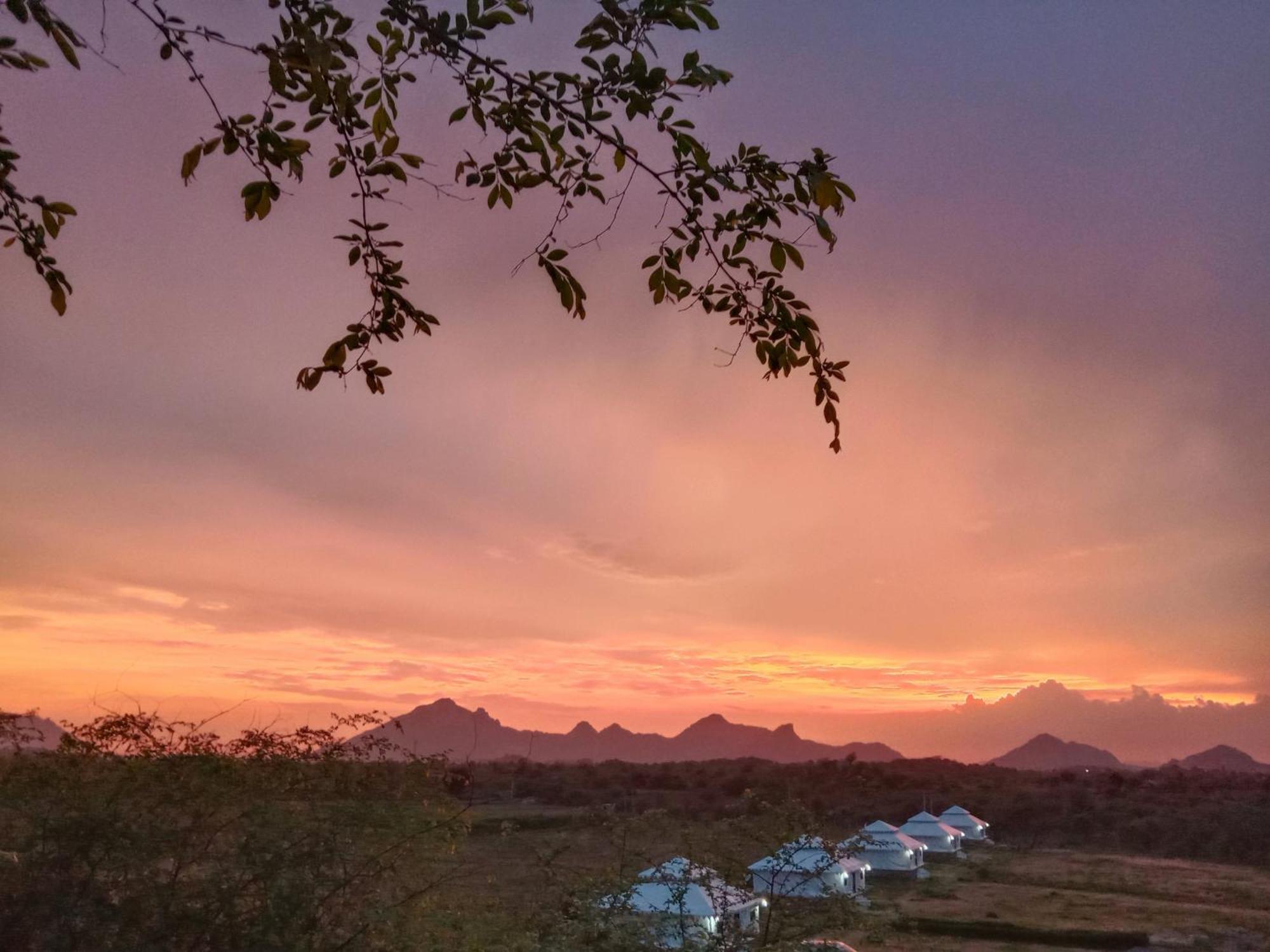 Hotel The Bagheera Bagh Jawai Bera Esterno foto