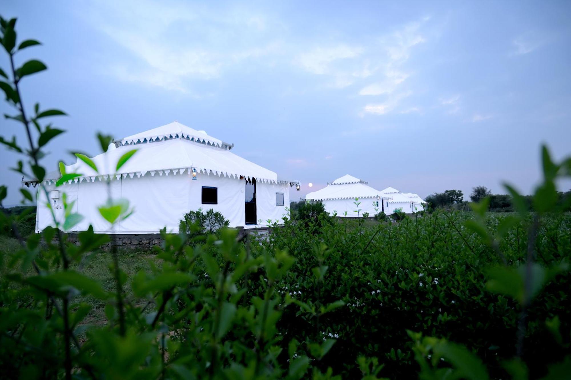 Hotel The Bagheera Bagh Jawai Bera Esterno foto